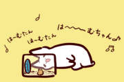 トメ「はーむたんはーむたんは～～～むちゃんっ♪ふっさふさのは～～むちゃんっ♪」