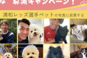 ◆悲報◆浦和レッズ、島忠とのほんわかペット企画に不倫フライデーされた柏木陽介さんを起用中(´・ω・`)