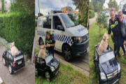 警察が不審車両発見、小さな車を運転していたのはなんと犬！それにはこんなやさしい事情があった（オーストラリア）
