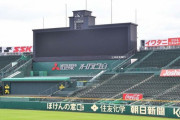 阪神、25日甲子園でのＤｅＮＡ戦は有観客で実施、アルコール飲料提供なし