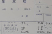 【悲報】韓国人とフィリピン人のカップル、日本の役所に子どもの名前を却下されブチギレ