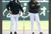 阪神平田ヘッド、華麗なグラブトスの連携に「何がアライバや！ヒラオカやろ！」
