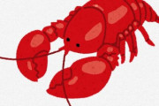 ロブスター、痛覚があることが判明……