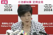 【悲報】小池都知事「東京は船旅通勤を推していきます」