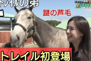 【土曜東京新馬戦】サンセットクラウドとエピファニーが激突！