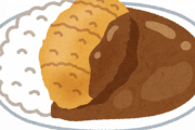 お前らが文句言いそうなカツカレー食ってきた