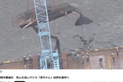 淀川クジラ、回収される