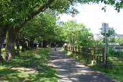 【動画】ロージークロニクル公式X「だーれだ？」