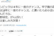 【？】つんく♂「甲子園は18年に一度のチャンス！」