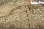 【考古学】大化の改新はここから始まった！「槻の樹の広場」は飛鳥寺西方遺跡 とほぼ断定