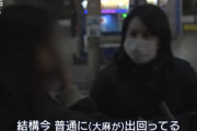 【悲報】日本の大麻汚染、ヤバすぎる・・・。