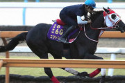 【古馬G1未勝利の三冠馬】ナリタブライアンとコントレイルはどっちが格上か？