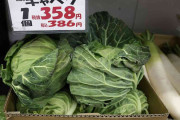 ｢キャベツ1玉500円｣は序章にすぎない…｢いままでが安すぎた｣国産野菜が"高級品化"している不都合な真実