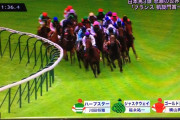 もったいない使われ方をして、そのままフェイドアウトした馬