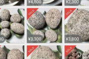 【画像】ネットで「コロナウイルスに効く」石が販売されるｗｗｗｗｗ