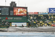 阪神、１７日の雨天中止となったヤクルト戦　代替試合は１９日午後６時開始予定