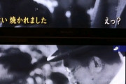 【画像】ガキ「空襲で家が焼かれました」昭和天皇「えっ？」ガキ「焼かれました」
