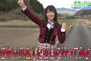 【安部若菜】 わかぽんが出演した12/17放送「ぐるっと関西おひるまえ・産地へ行こう！」の画像