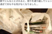クローゼットに保管してた大量の新品ガンプラを妻に勝手に捨てられてた