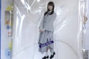 【驚愕】乃木坂46ヲタのところに届いたアベノマスクに鈴木絢音・・・？！【ネタ】