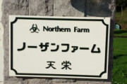 ノーザンF天栄 木實谷場長「馬の回復より成長にエネルギーを回すべき」