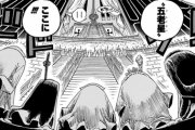 【疑問】ワンピースでイム様っておったやん？あれさぁｗｗｗｗｗｗ
