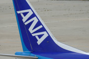 【航空】ANA、問い合わせメール最大2カ月返信待ち　国内線トラブルで急増