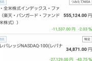 ワイの積立NISA、ついに赤字になる