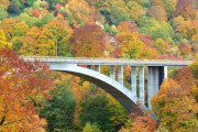 【悲報】秋の旅行、紅葉と温泉しかなくて糞つまらない