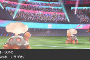 ポケモン廃人って一撃必殺技(じわれなど)で負けたらどうなるの？