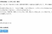 「カルピスちょうだい」全身ピンク姿の女が公園で遊んでいた男子小学生に声をかけ、ハグやハイタッチを求める事案が発生