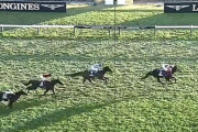 【ジャパンカップ】4歳馬同期のオーソリティ2着死守