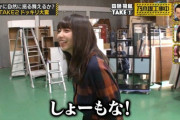 【AKB48】ビジュアルで乃木坂46に勝ってしまってるメンバーを挙げるスレ