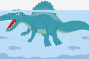 【恐竜】スピノサウルスはやはり「水中のモンスター」だった、モロッコの太古の川から大量の歯化石　