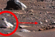 【速報】火星で「赤ちゃんペンギン」が発見されるｗｗｗｗｗｗｗｗｗｗｗｗｗｗ
