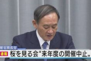 【速報】安倍首相主催「桜を見る会」　来年度は中止