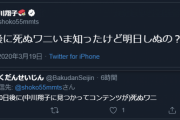 ワイ「ワニ死んだなあ…余韻に浸ろう」きくちゆうき「書籍化・映画化決定！追悼グッズ発売開始ィィ！」