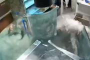 中国のレストランで魚の入った水槽が爆発