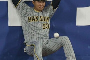 【悲報】横浜スタジアムさん、広告で阪神タイガースを煽る