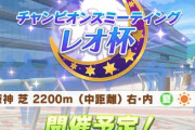【ウマ娘】「チャンピオンズミーティング レオ杯」の詳細が公開されたぞおおおおおお