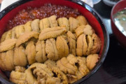 【北海道】ウニ丼食べに来たぞｗｗｗｗｗ