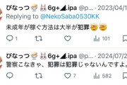 ホロライブキッズ「逮捕されなきゃ犯罪じゃないw」→クレカ7000件ハックで逮捕