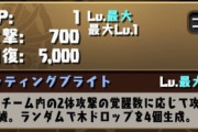 【パズドラ】花嫁ロシェループ、毎ターン被ダメ1は強すぎて草