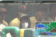 【画像】甲子園のベンチになぎちゃんがいた件