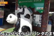 白浜町民「パンダ返して！！！！」町長「困る人は自分で中国にお願いしに行けば笑笑笑」