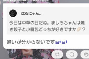 【悲報】料理対決出場予定のメンバー「焼き餃子と小籠包の違いがわからないです」