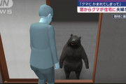 【悲報】クマ、もうなりふり構わなくなる