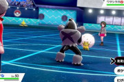 【ポケモン】これまでにやったことのある一番ダサいプレイングミスｗｗｗｗｗ