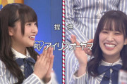 【日向坂46】『ひなあい』おたけとまなふぃのあるあるで一週もってしまうwww