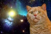 【画像】ネコって宇宙のことどう考えてるの？